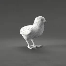 Chick
